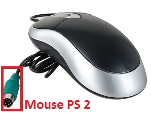 Jenis dan Fungsi Tombol Tengah Pada Mouse - Belajarkuh