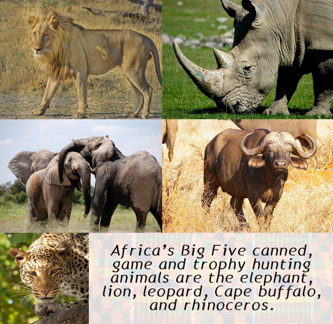 Legal Hunting Types in Africa Game Hunting Chic African Culture