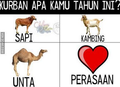 83+ Gambar Animasi Qurban Lucu Paling Keren 83+ Gambar Animasi Qurban Lucu Paling Keren