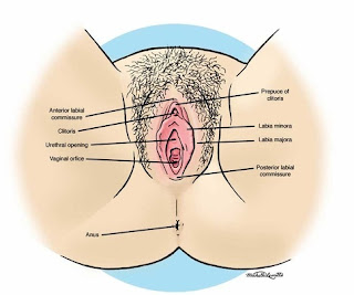 Dirty blonde fucked Healthy sperm foods