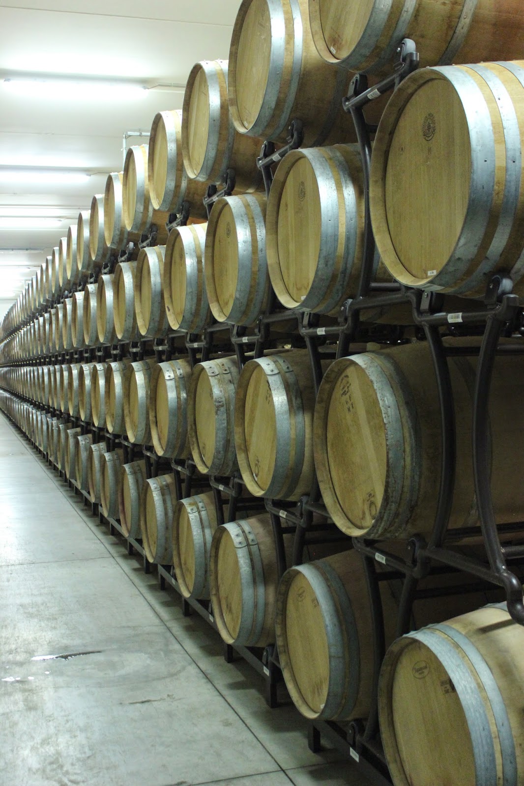 Wine cellars of Bolla