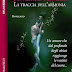 Uscita #romance #fantasy: LA TRACCIA DELL'ARMONIA di Fernanda Romani