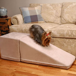 http://www.gollygear.com/ProductCart/pc/Royal-Ramps-65p15519.htm
