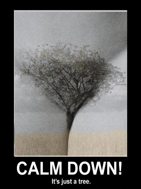 Calm-Down.jpg