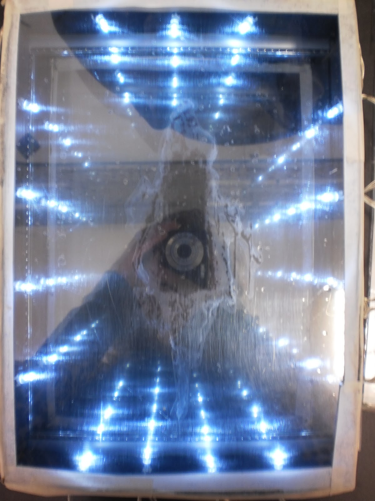 MariaJones Haunted Infinity Mirrors