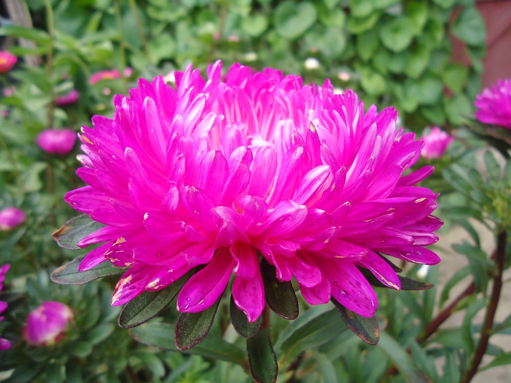 70