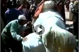 بالفيديو نساء يتبركن بالمرور من تحث بغلة باقليم الصويرة