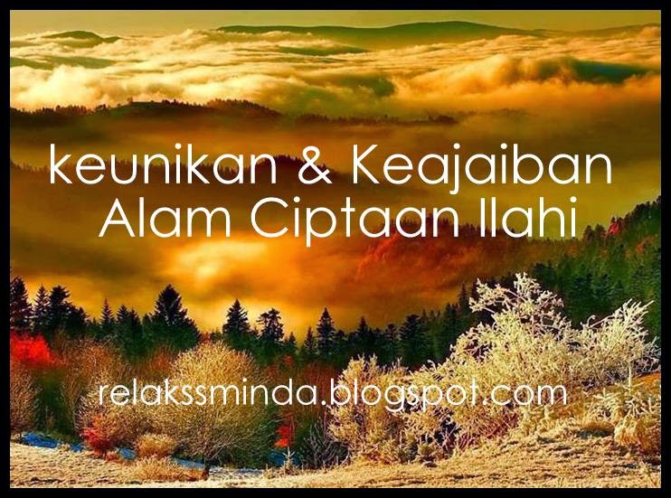 Keunikan Dan Keajaiban Alam Ciptaan Ilahi Relaks Minda