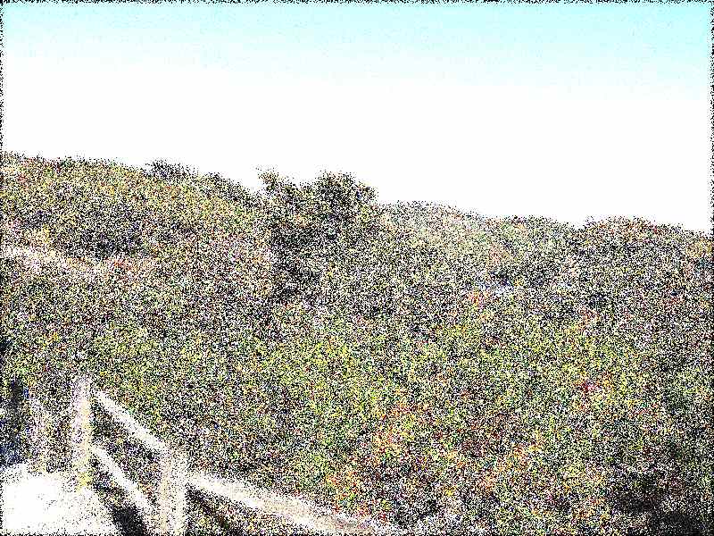 화순 영구산 운주사 화순 영구산 운주사