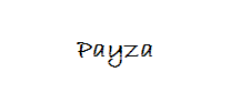 Payza.png