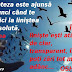 Osho despre dezamăgire