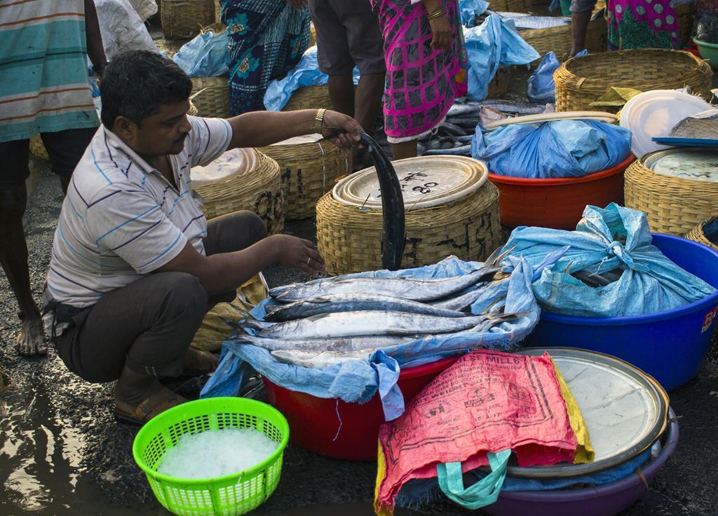 Mumbai Daily Fishy business