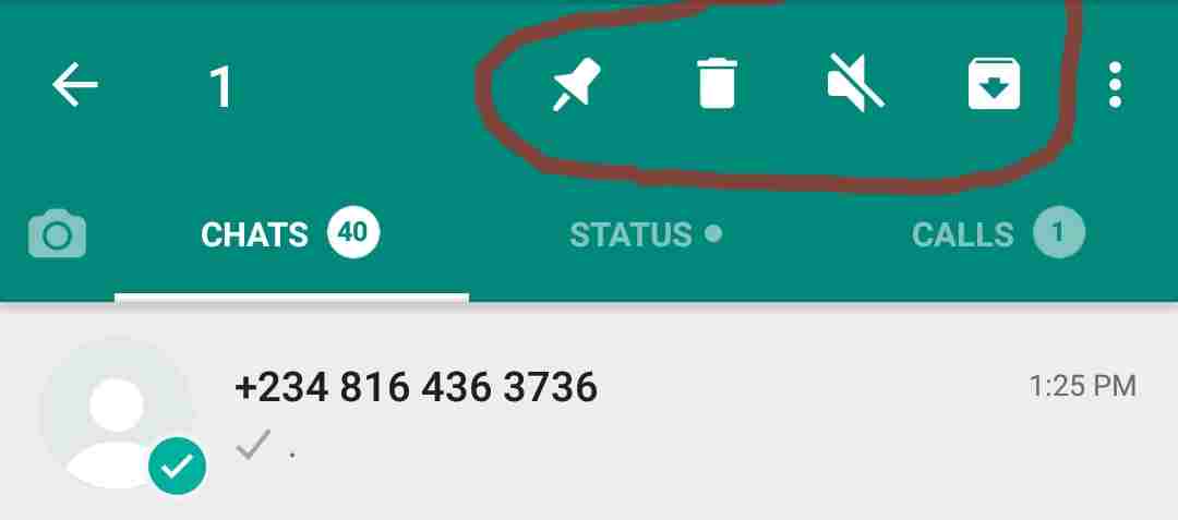 steps to mute contacts on WhatsApp