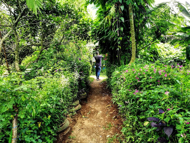 Path Going to Milea Bee Farm Path Going to Milea Bee Farm