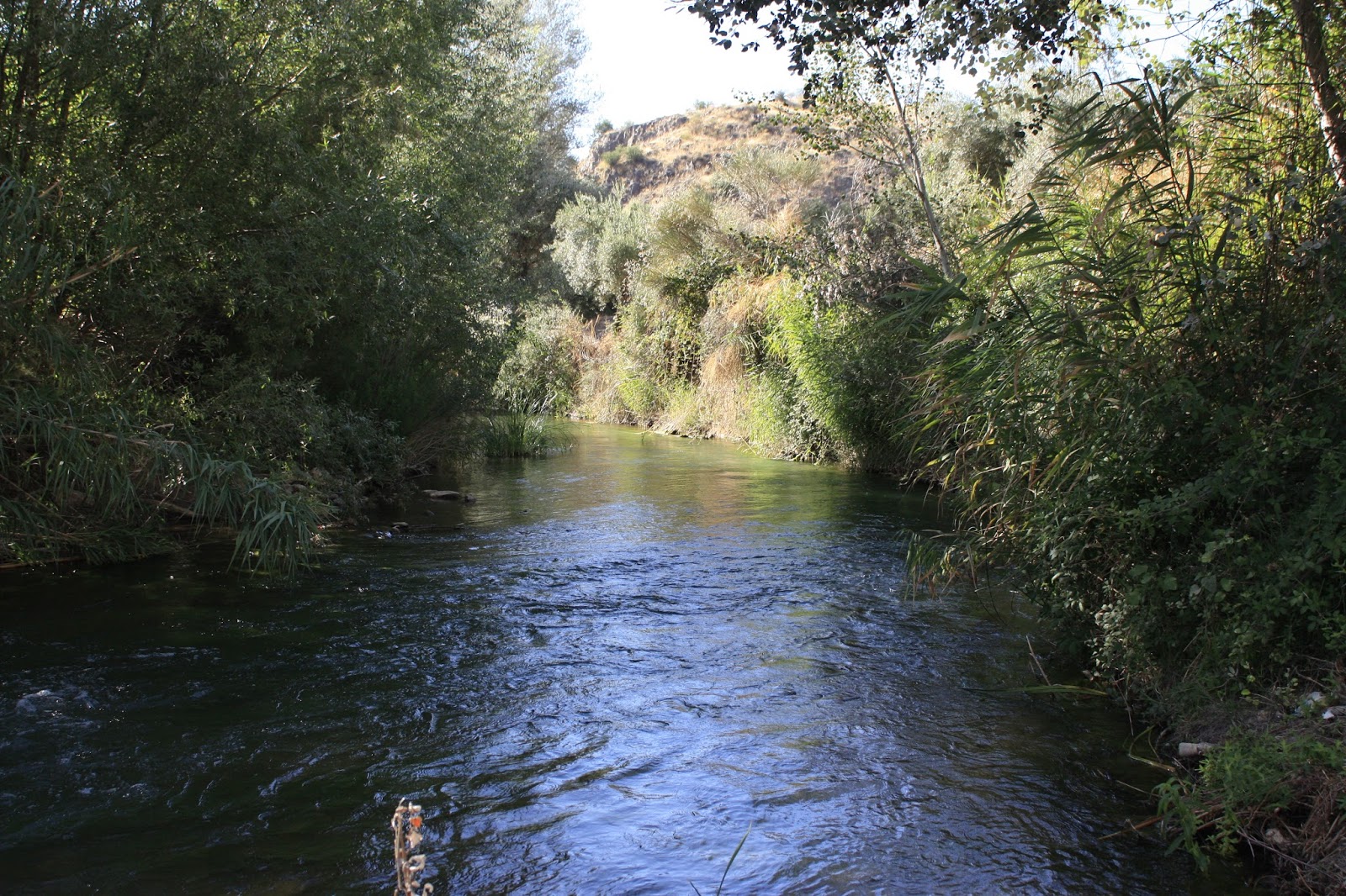 El mundoblog Miguel Caballero: de Pantalones, mucho por descubrir.