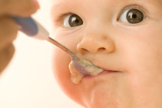 El Bebe y La Alimentacion, Guía