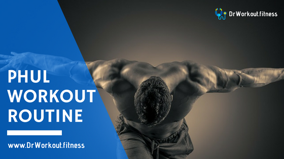 power hypertrophy upper lower phul workout routine