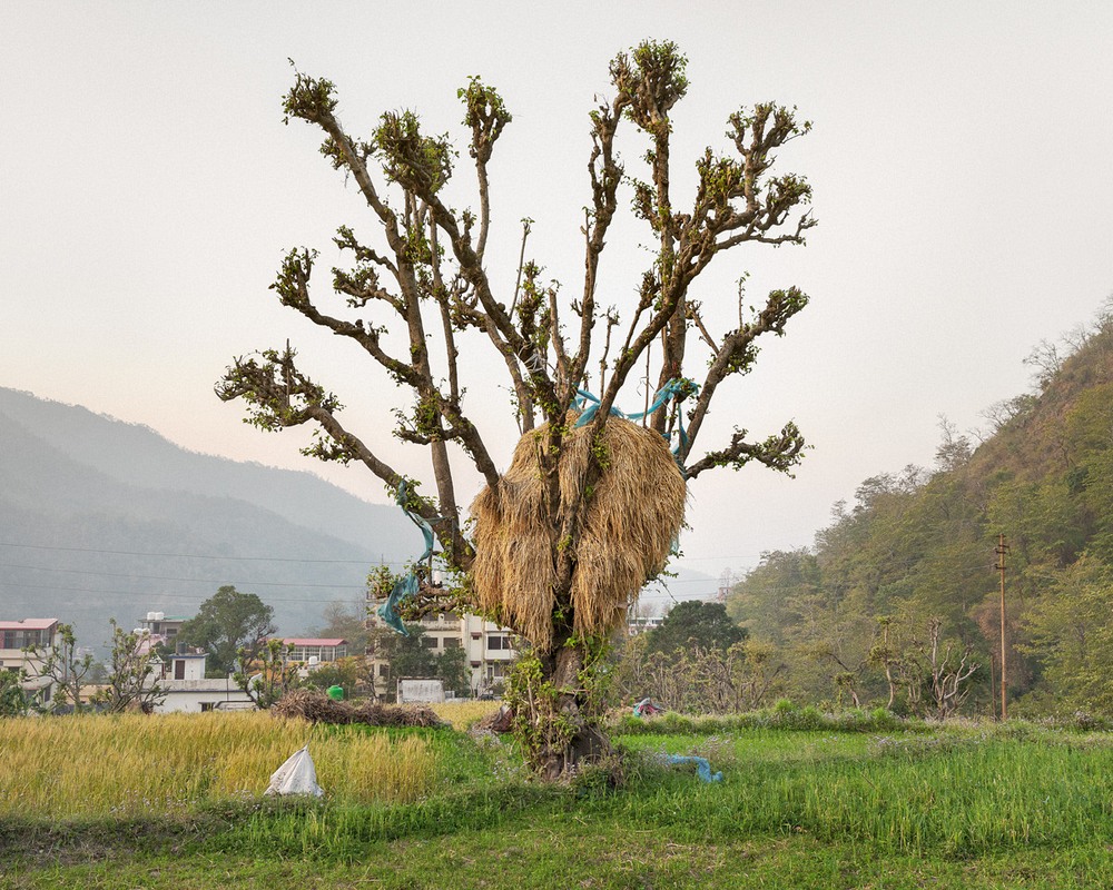 Haystacks of Rishikesh