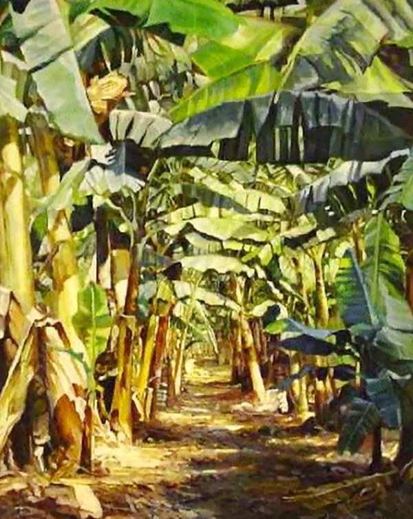 Historia y evolución de la pintura artística : Oleos de paisajes con ...