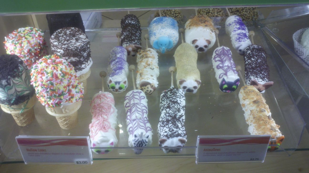 Countrified Hicks Chocolate Factory Tour