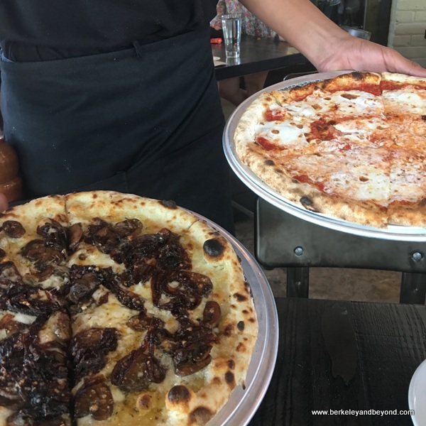 pizzas at Dough Pizzeria Napoletana at Hemisfair in San Antonio, Texas pizzas at Dough Pizzeria Napoletana at Hemisfair in San Antonio, Texas