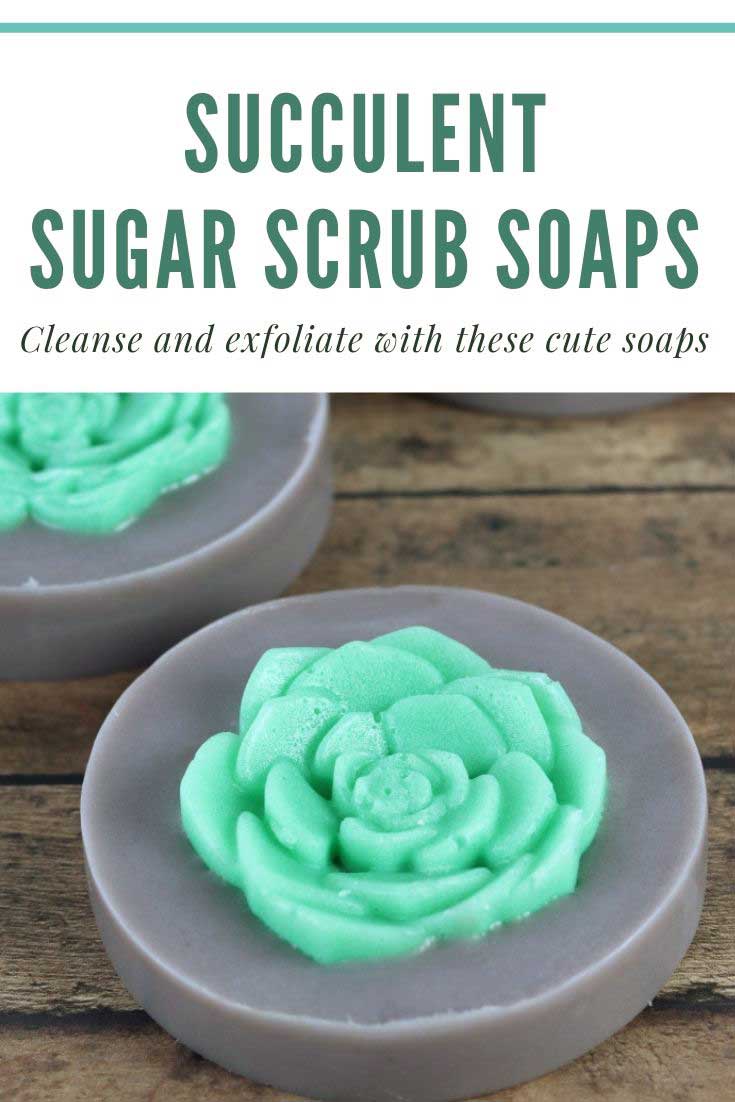 Succulent Sugar Scrub Soap Recipe Everything Pretty