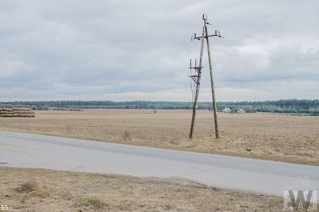 Wycinka drzew pomiędzy Pawłówkiem a Tryszczynem, obwodnica Bydgoszczy