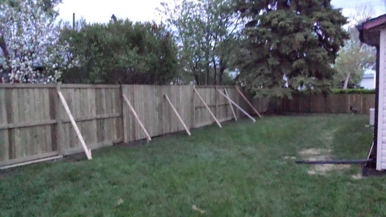 Adventures of O: Backyard Projects