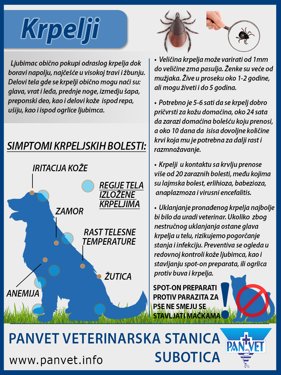 Paraziták a psa priznaky-ban Paraziták a szervezetben, Parazita férgek - Wikipédia