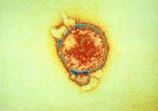 8 Senjata Virus Biologis Paling Berbahaya dan Mematikan