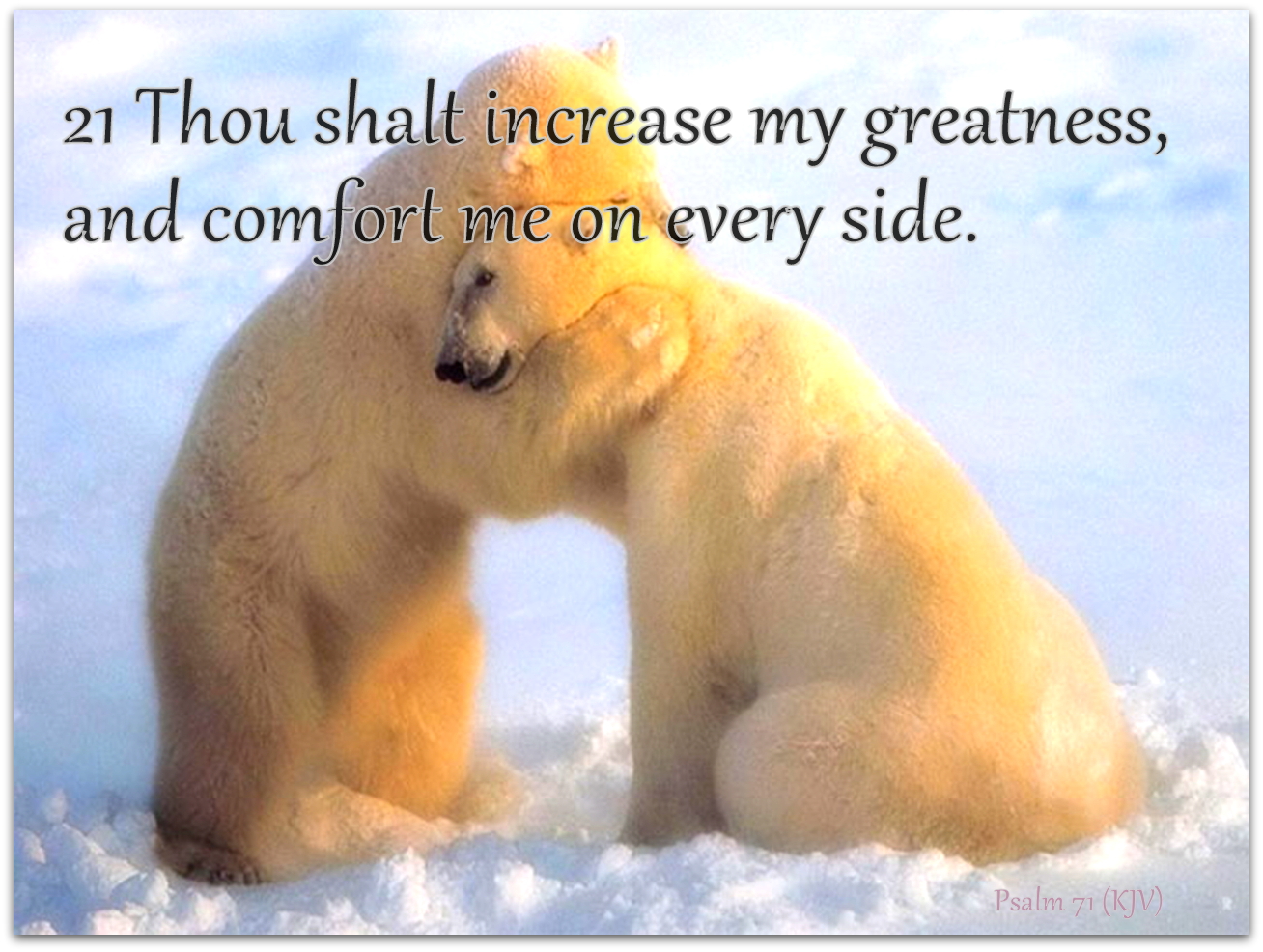 Red Pill Diaries Psalm 71 KJV red-pill-diaries-psalm-71-kjv
