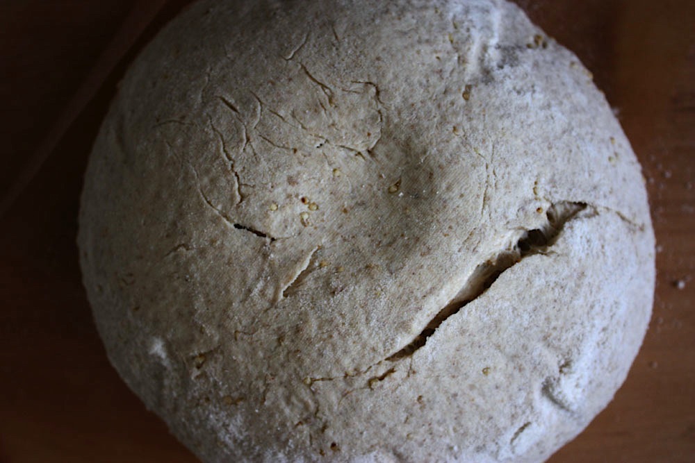 Girl Meets Rye Bird Seed Bread