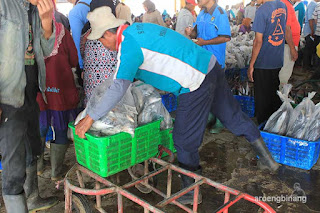 TPI Kota Pekalongan 1