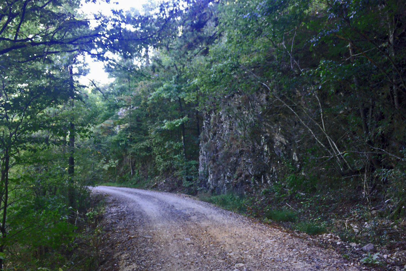 An Arkies Musings Caney Creek Wilderness Area