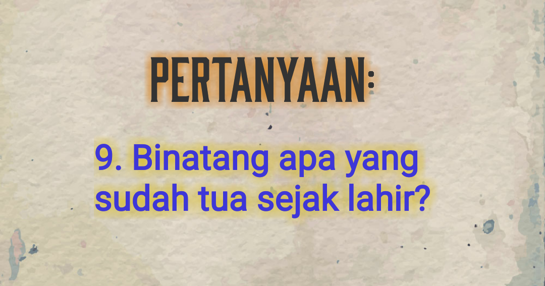 Teka Teki Dan Jawapannya TEKA TEKI LENGKAP