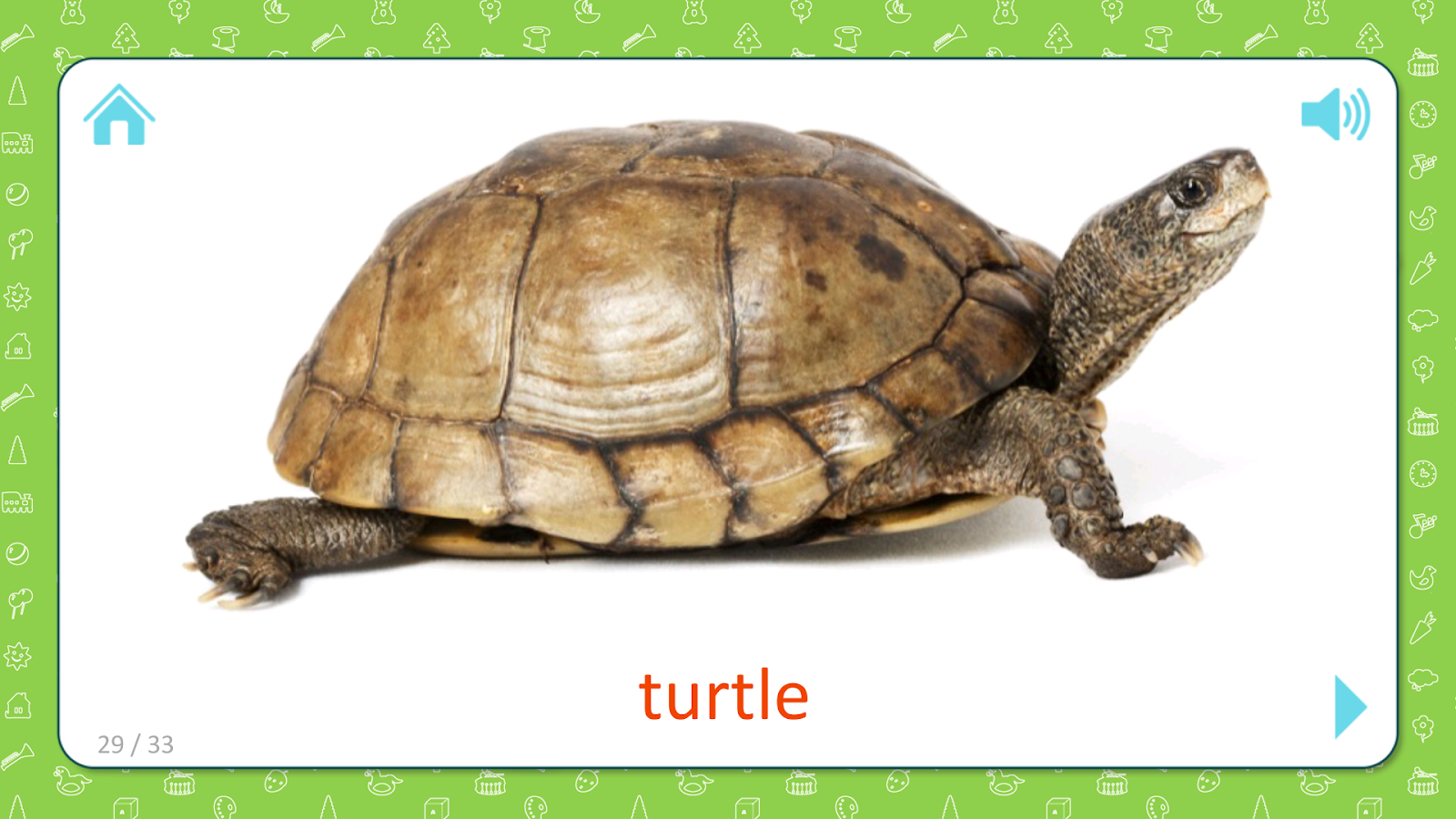 Как будет черепаха на английском. Карточка черепаха. Карточка черепаха для детей. Черепаха по английскому. Карточки по английскому языку черепаха.