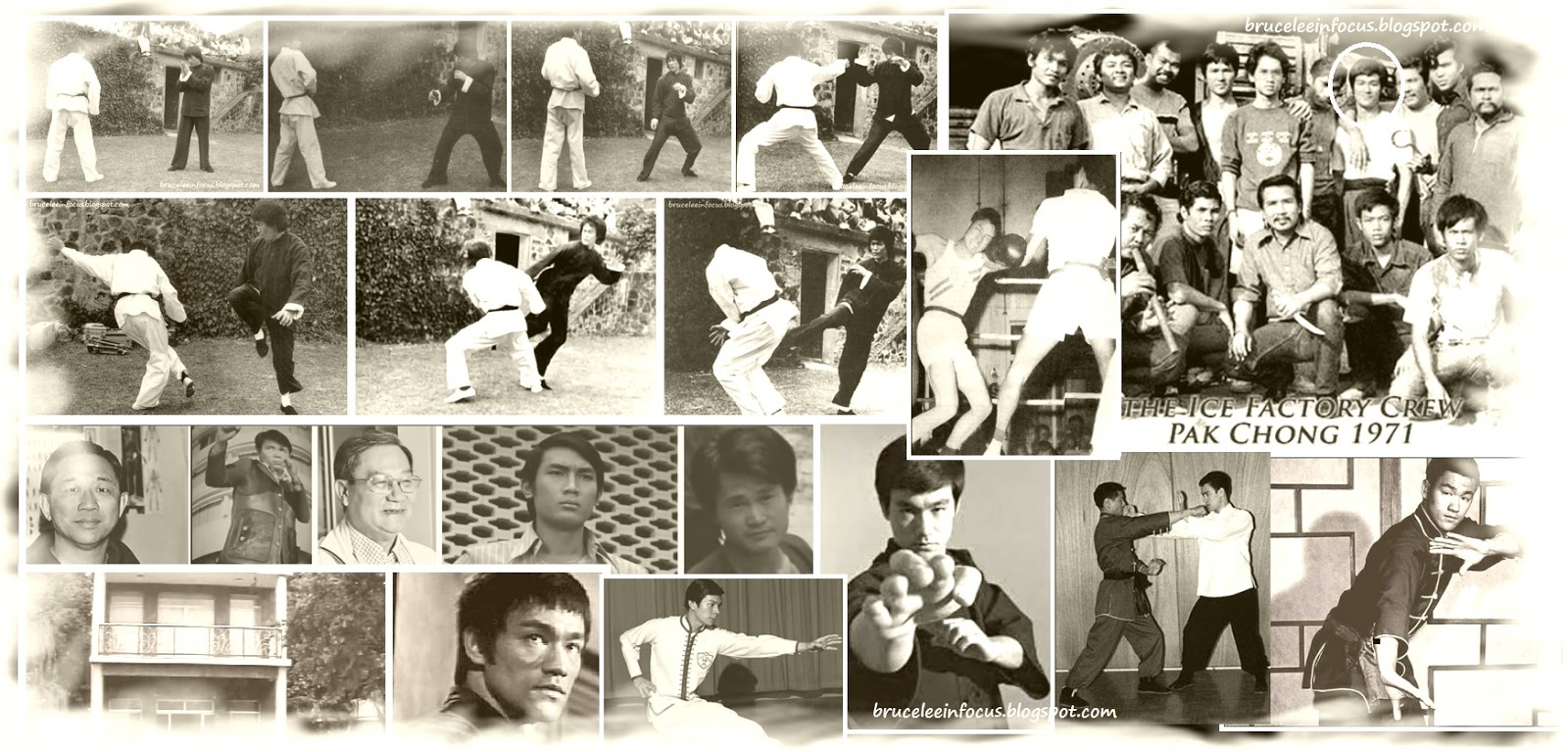 A Luta De Bruce Lee Bruce Lee In Focus: OITO LUTAS REAIS DE BRUCE LEE