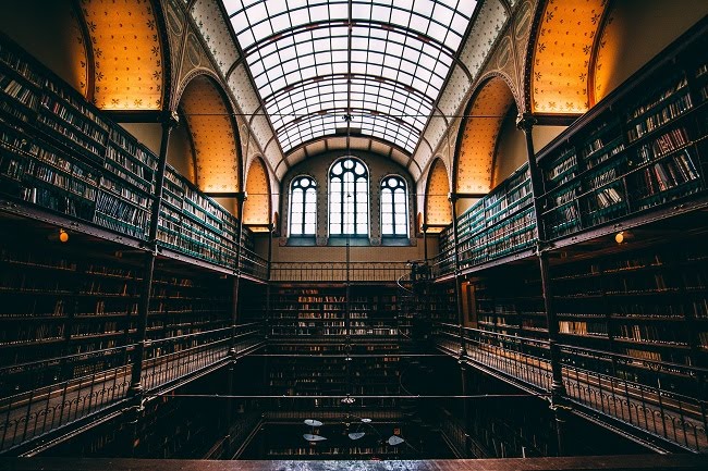 fot. Will van Wingerden / unsplash.com CC0 1.0 fot. Will van Wingerden / unsplash.com CC0 1.0