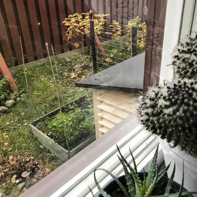 radonsug, odlingsbox radonsug, odlingsbox