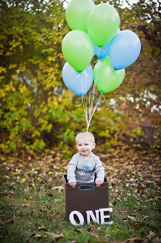 Living The Dream: Landon's one year old photos!