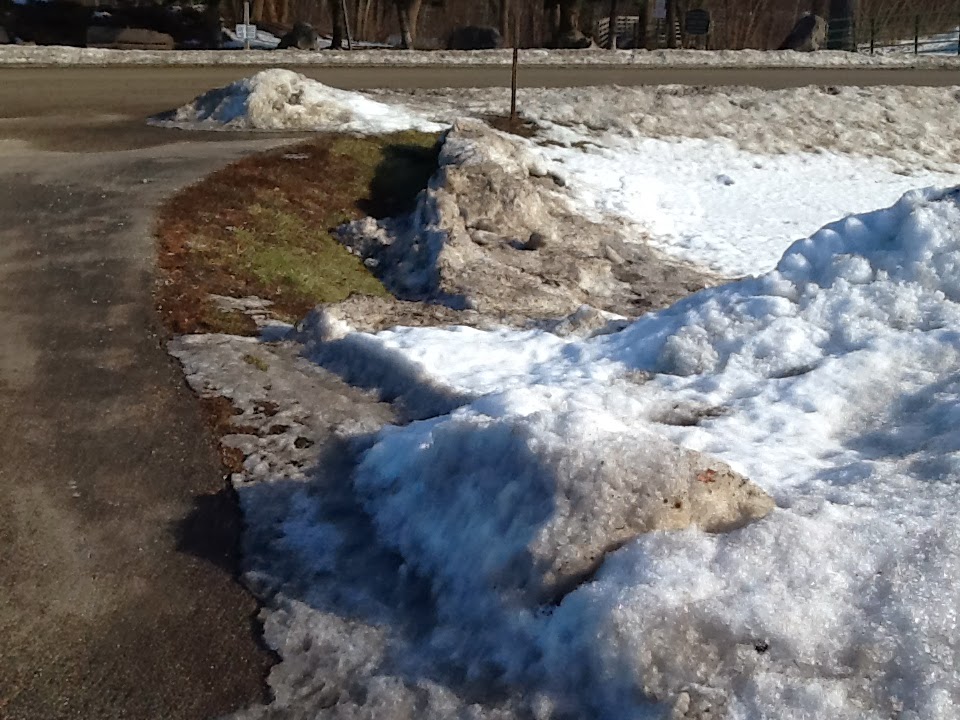 Lawn*Doctor Lawn Care Insights Winter salt and plowing damage to lawns