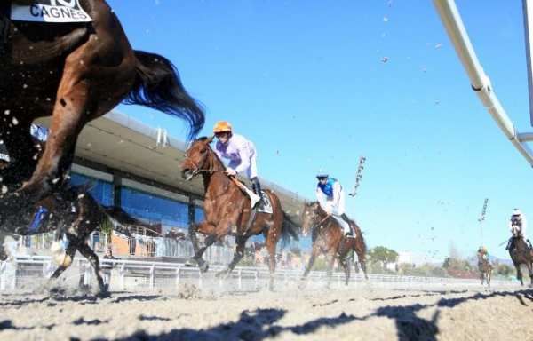 Samedi 15 février 2020 - Quinté à Cagnes-sur-Mer