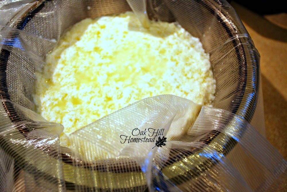 Gently strain the curds from the whey to make farmer's cheese (lemon cheese).