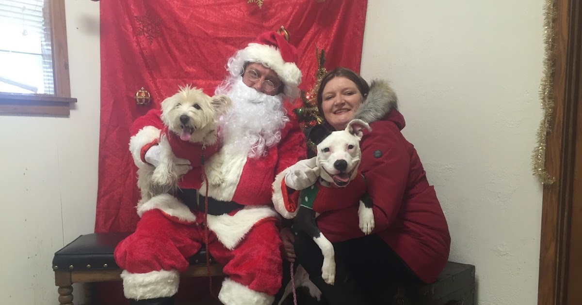 Humane Society of County Happy Tails