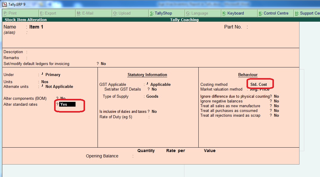 Free Tally TDL Free Tally Education Age Wise Inventory Report with