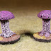 15mm Violet Fungus