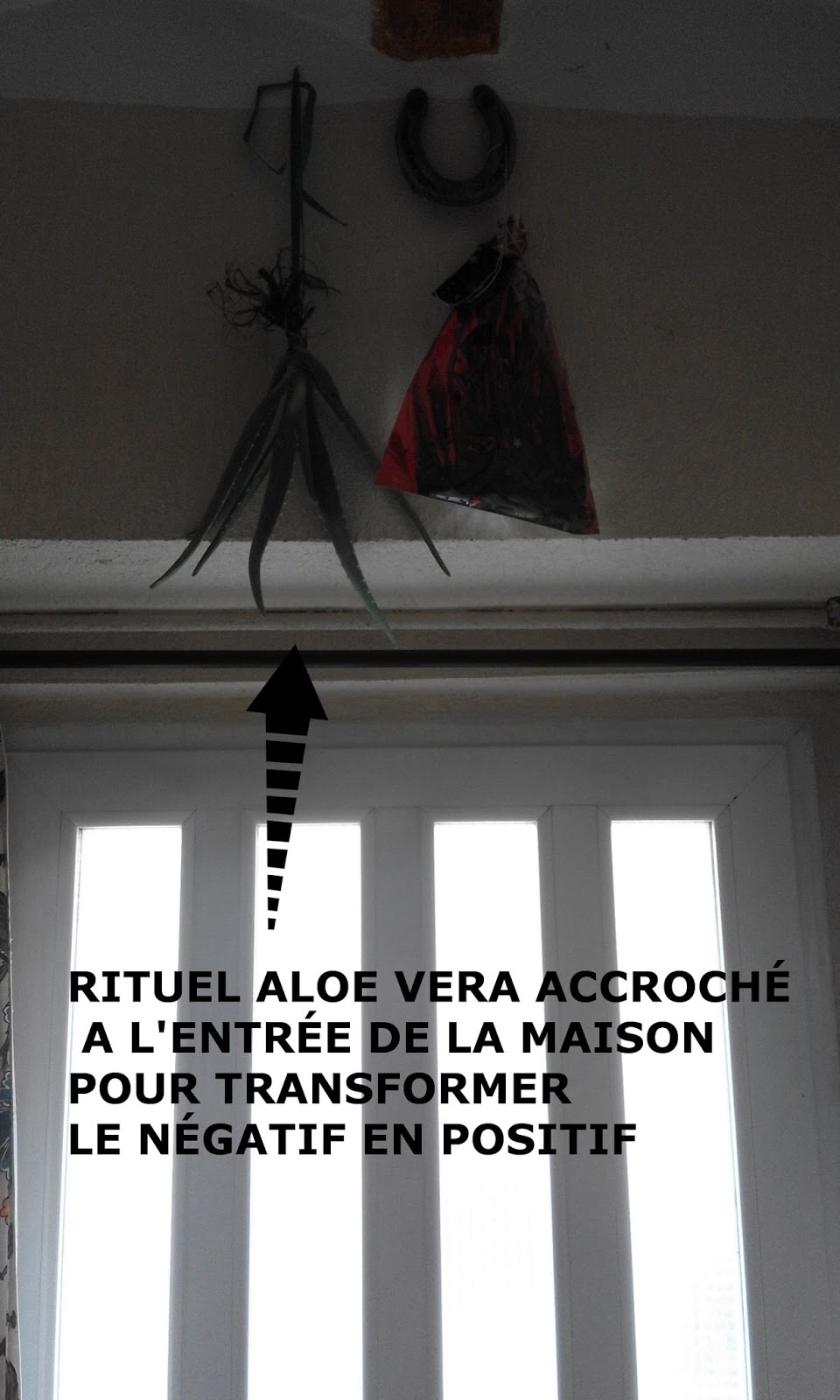 Magie Et Voyance Les Pouvoirs Esotheriques De Aloe Vera