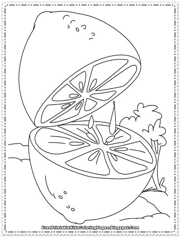 Orange Fruit Printable Coloring Pages title=