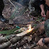 Fazendo fogo na selva