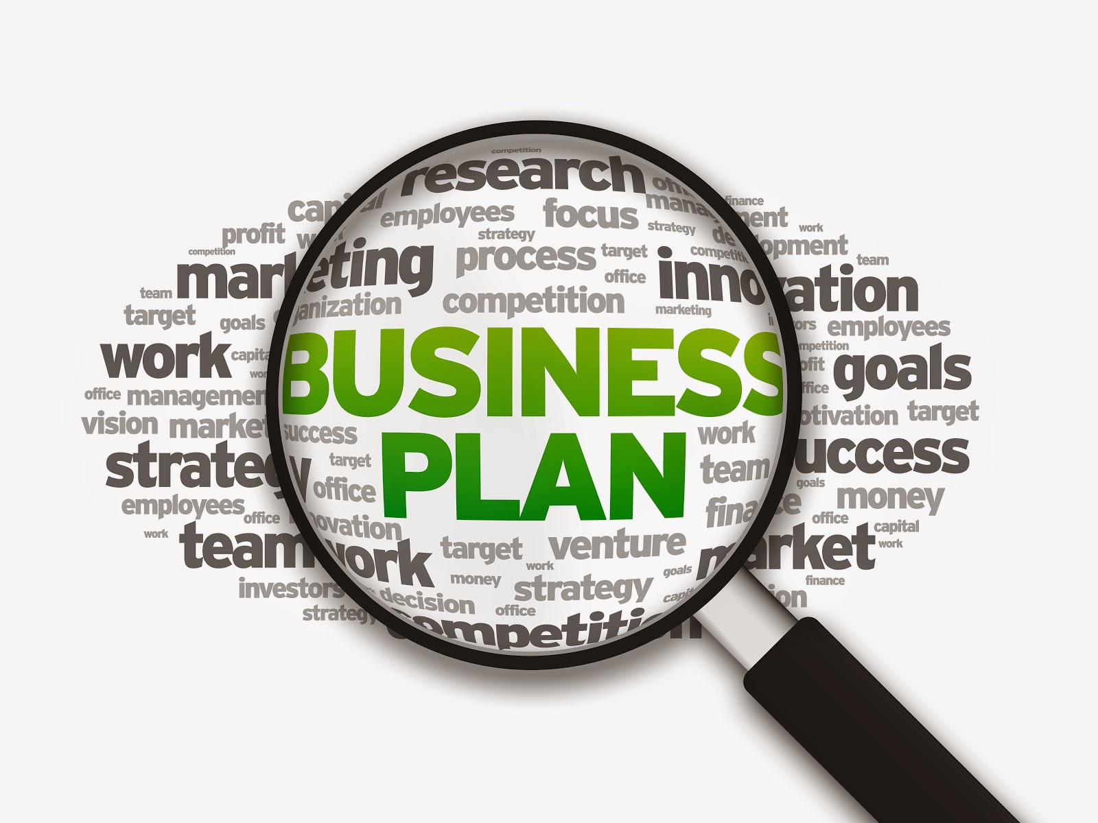 Fundraising Business Plan And Software